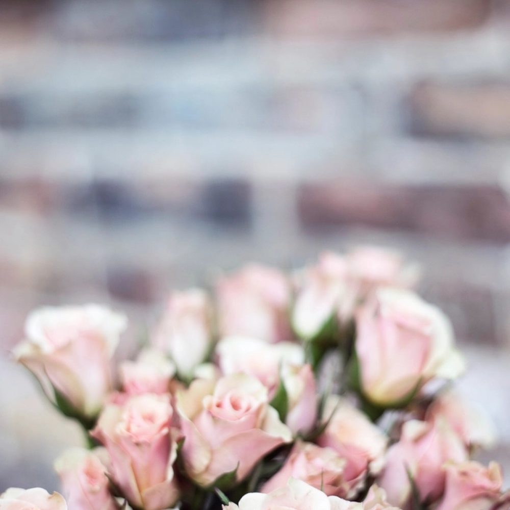A bouquet of soft pink roses